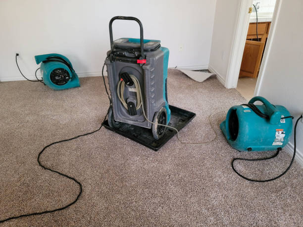  Hewlett Harbor, NY Water damage restoration Pros