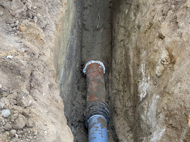 Best Flood damage cleanup  in Hewlett Harbor, NY