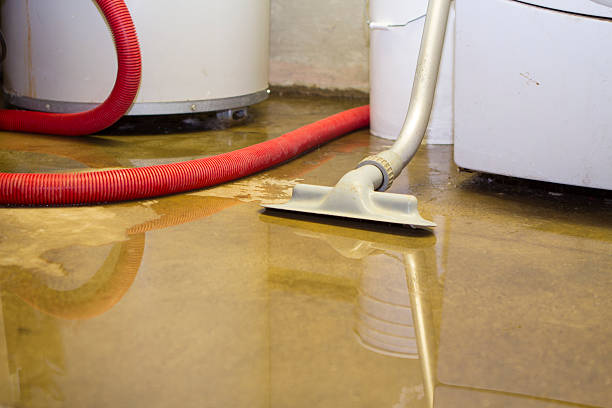 Best Basement water damage restoration  in Hewlett Harbor, NY