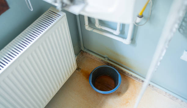 Best Water damage restoration near me  in Hewlett Harbor, NY