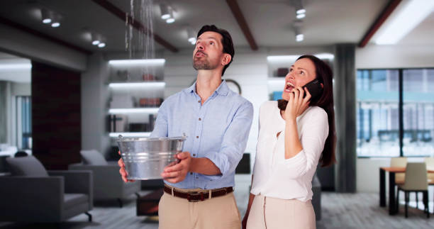 Best 24/7 water damage repair  in Hewlett Harbor, NY